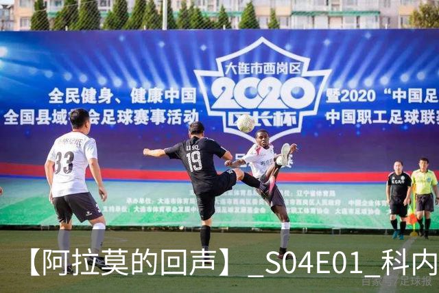 【阿拉莫的回声】 S04E01 科内特你长点心吧，里德来了！