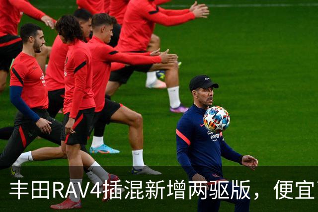 丰田RAV4插混新增两驱版，便宜了却只卖澳洲