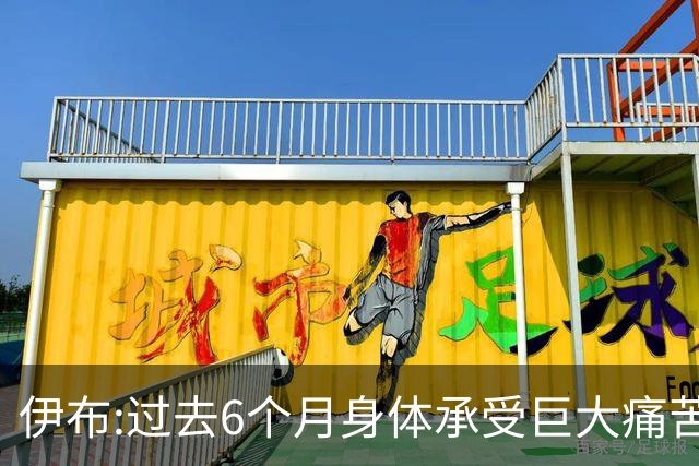伊布:过去6个月身体承受巨大痛苦 只为帮球队夺冠