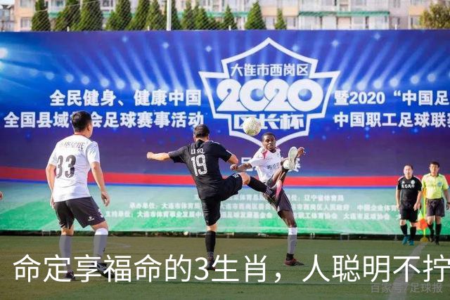 命定享福命的3生肖，人聪明不拧巴，这辈子都有人疼不缺钱花！