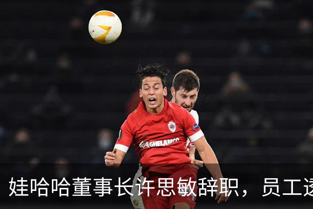 娃哈哈董事长许思敏辞职，员工透露内幕，宗馥莉派系和接班细节流出