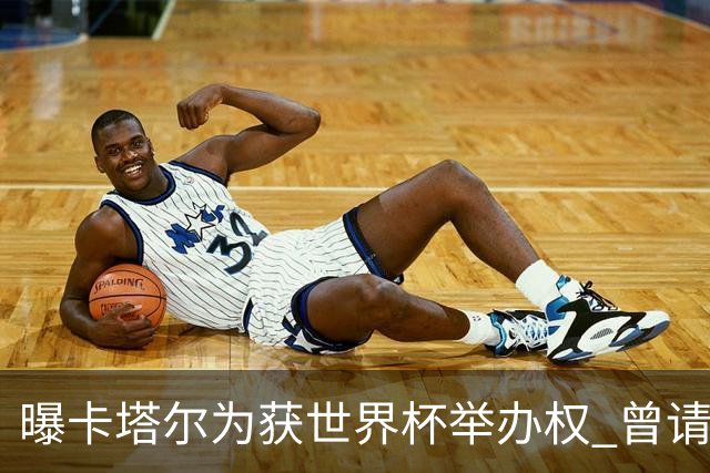 曝卡塔尔为获世界杯举办权 曾请前CIA特工监听FIFA